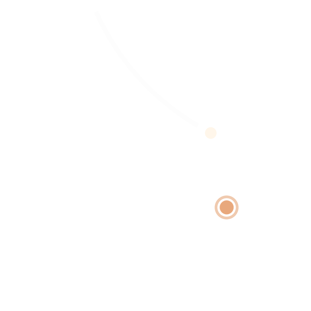 Laniakea Institute